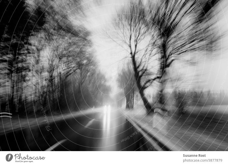 The passing landscape seen from the car. November November weather November mood Rain Reflection trees In transit Black Black & white photo Movement Landscape