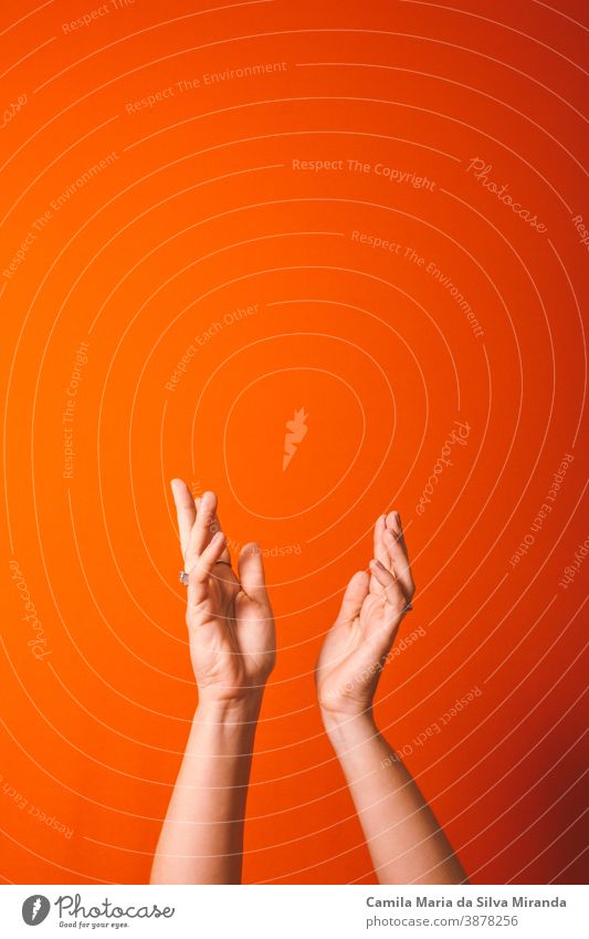 arms up with orange background successful holding work idea management stylish fashion human business concept copy space female finger hand lifestyle model