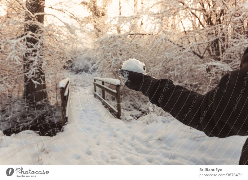 Hand with snowball in front of snow-covered wooden bridge background pretty Beauty & Beauty Bridge Cold Covered Environment Forest Fresh Landscape Light