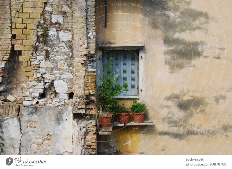 Neighborhoods are broken off Shutter Facade Architecture break-off edge Town house (City: Block of flats) Destruction neighbourhood Weathered unusual Transience