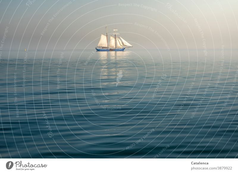 A flatboat on the IJsselmeer Sailboat two-master Sailing Flat-bottomed ship Ocean Ijsselmeer Water Summer Horizon Sky Day daylight Waves swell North Sea