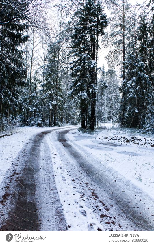 Snowy road in winter forest. Beautiful frosty white landscape. snowy season ice scene christmas tree day car freeze outdoor background weather light woods park