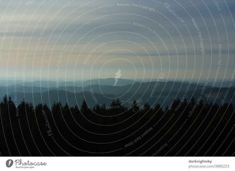 Evening atmosphere in the mountainous Bergisches Land with a forest of conifers and deciduous trees at sunset Rain Weather Forest Wilderness Virgin forest