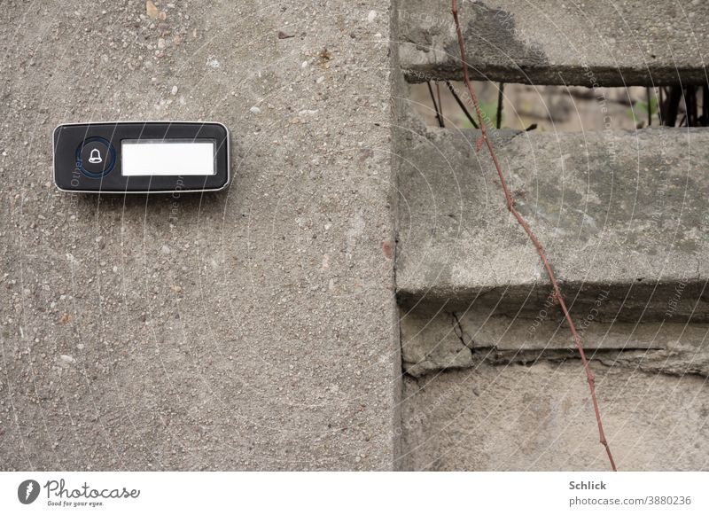 Modern bell button with empty name plate on a grey concrete wall and bare vine of a climbing plant Bell Name plate Empty Wall (building) Tendril Concrete