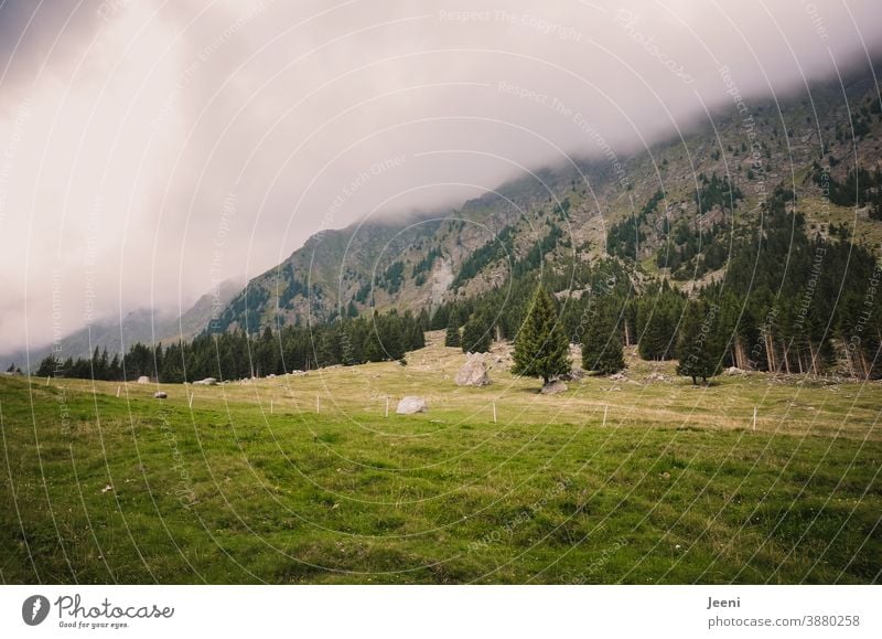 Hiking on the Alm | view of a mountain in the Alps | cloudy and foggy up there Alpine pasture Mountain Mountain meadow outlook alpine hut Sky Clouds Fog