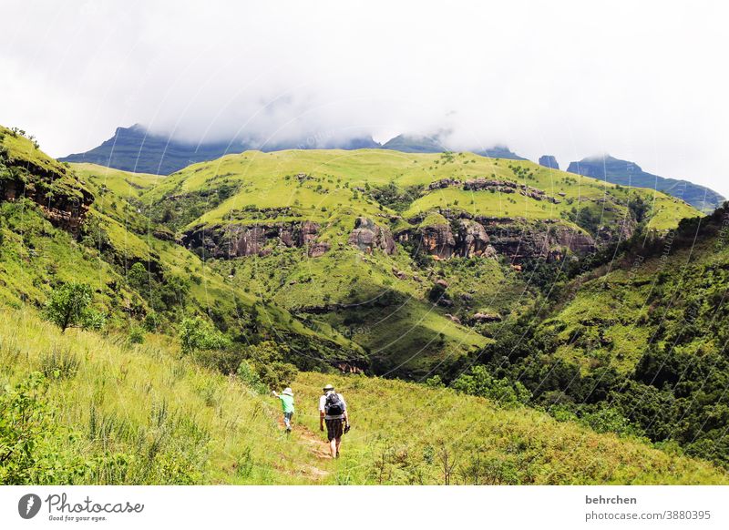 wandering boys III Sunlight Contrast Light Day Exterior shot Wanderlust pretty Gorgeous South Africa Drakens Mountains Colour photo Son Hiking Green Blue