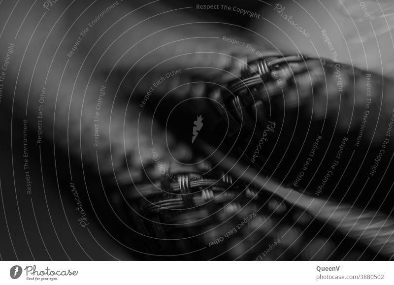 Close up of two cables Close-up Macro (Extreme close-up) macro 2 Cable Multiple Technology technique Black texture textured Structures and shapes Detail