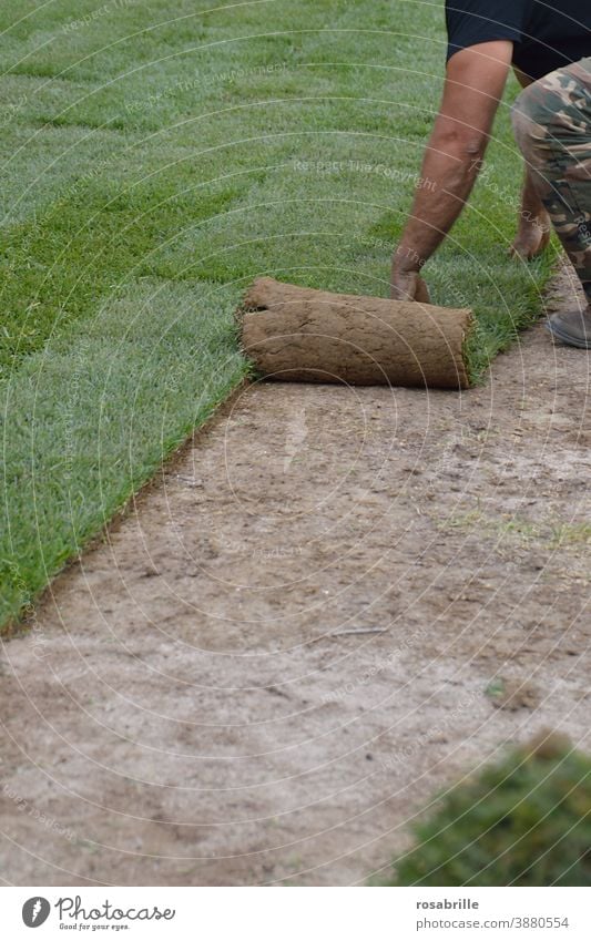 Laying sod | Trash 2020 roll Sheepish Green space work everyday working life labour Roll Roll out Lawn lawn Grass Real estate grow swift Man Gardener