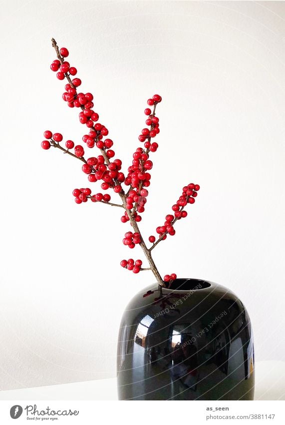 Ilex Branch Twig Red Black Glittering Berries Decoration Floristry Japan Japanese Minimalistic Copy Space left Plant Colour photo Nature Winter Interior shot