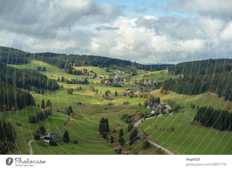 Landscape in the Black Forest Autumn Autumnal Sunlight Exterior shot Nature Colour photo Autumnal colours Deserted Early fall Day Light Tree Multicoloured