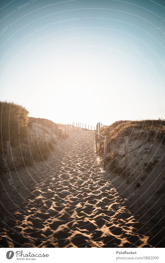 #A0# Dune rise Tourism Exterior shot Landscape Vacation & Travel Ocean Sand coast France Dune Rise beach emergence Beach duene staircase Sunset