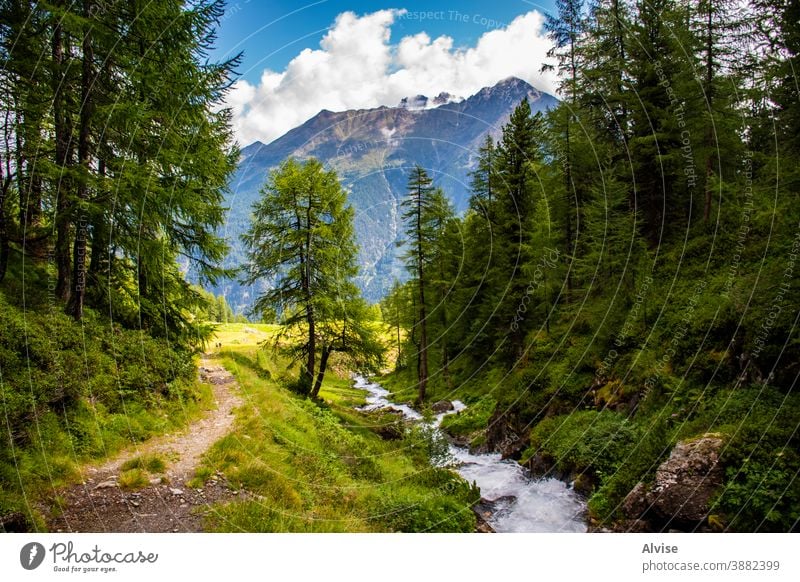 streams on the Alps of South Tyrol eight alps austria tirol scenics scene flowing fall climb courage dangerous summit sports trekking waterfall outdoor peak