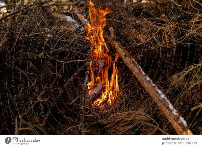 burned firewood in fireplace and fire close up fire burns smoke fire flame camp texture coal light red background bonfire campfire danger spark barbecue