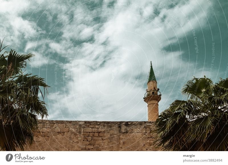 Mosque - Minaret framed by palm trees Israel Islam Christianity Moslem palms True believer Religion and faith Exterior shot Tourist Attraction Vacation & Travel