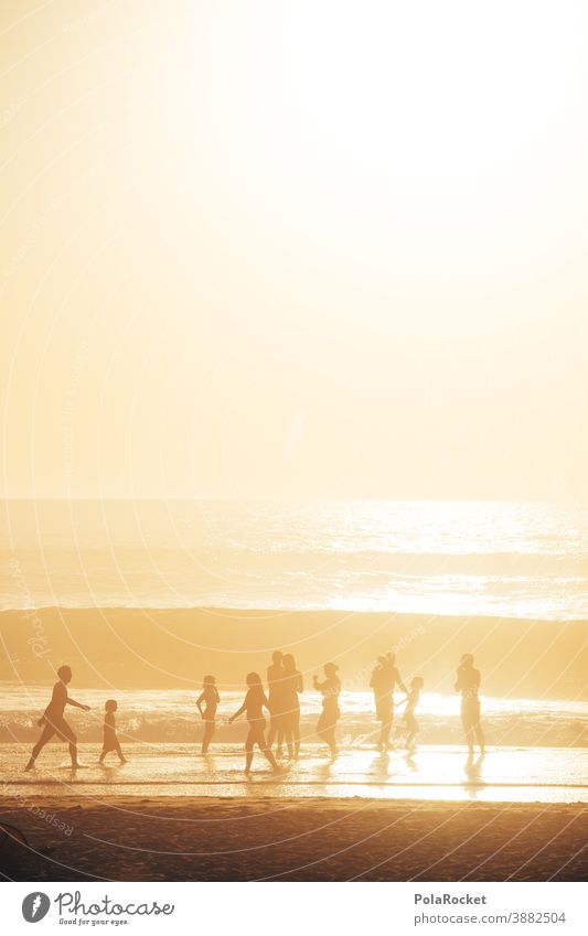 #A0# Beach life in golden light Beam of light Flare Shaft of light Light Light (Natural Phenomenon) diffuse light Diffuse Vacation destination Summer vacation