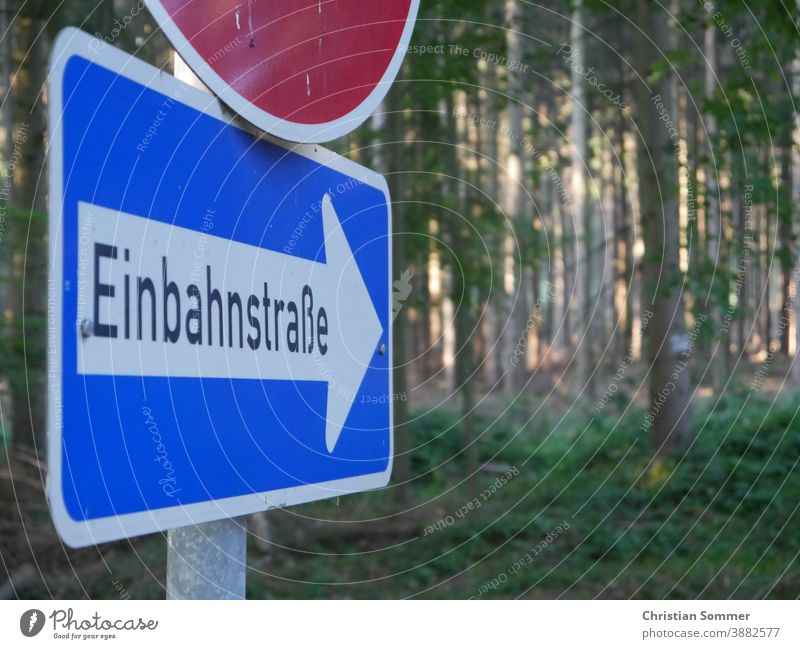 Signpost forest in the forest Forest Signs and labeling Road marking off trees signposts One-way street Irony Humor Road sign Nature Love of nature path Street