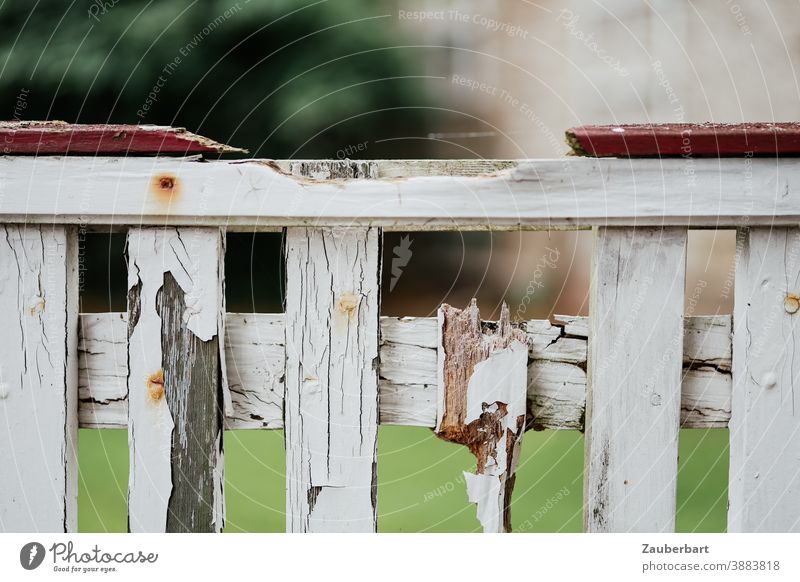 Old, white wooden fence with weathered varnish and broken slats Fence Wood Wooden fence White Varnish Weathered shattered Splinter romantic