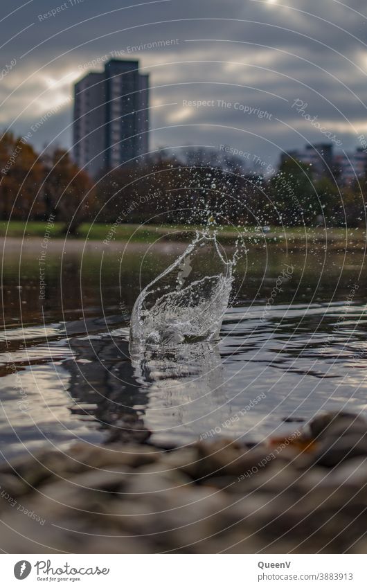 Splashes of water and droplets on the Elbe, Dresden Water Drops of water Elbufer Town Saxony Splash of water splash Vacation & Travel Capital city Architecture