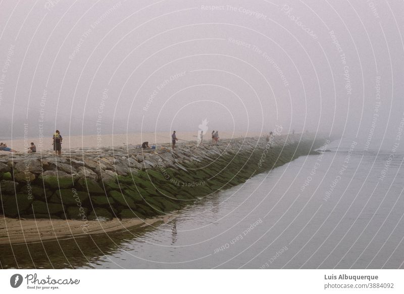 Landscape Beach Nature Low tide High tide Sand Water coast Ocean Far-off places Wet Climate change coastal protection coastline Waves Environment