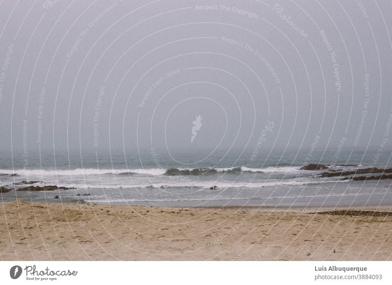 Landscape Beach Wet Far-off places Ocean coast Water High tide Sand Low tide Nature