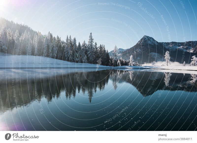 The lake rests still and reflects the trees and mountains Lake reflection Reflection in the water Blue Landscape clear Forest chill Freezing cold