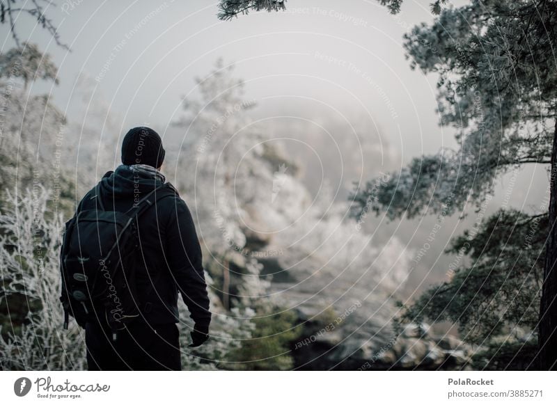 #A0# Hiking in Saxon Switzerland at the onset of winter hikers Winter Winter vacation Winter mood Winter's day Winter forest Winter light chill Nature Cold