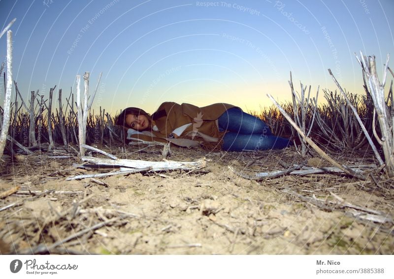 good morning reclining Lie Field well-being Resting tranquillity Stubble field Blue sky harvested Landscape Agriculture Dream Shriveled Nature Summer Rural