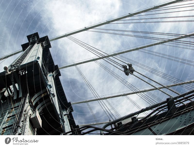 Boys' and girls' teams #33 Bridge Sky ropes Worm's-eye view Metal Steel Clouds Construction Manmade structures Connection steel cable rope tensioner