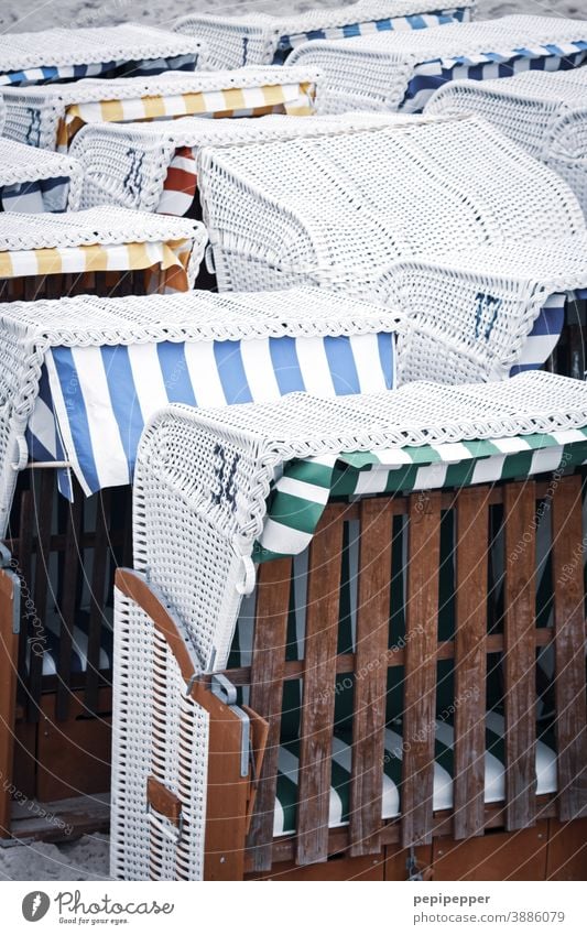 Beach chairs ready for winter beach chairs Ocean Vacation & Travel Tourism Summer coast Baltic Sea North Sea Summer vacation Colour photo Relaxation