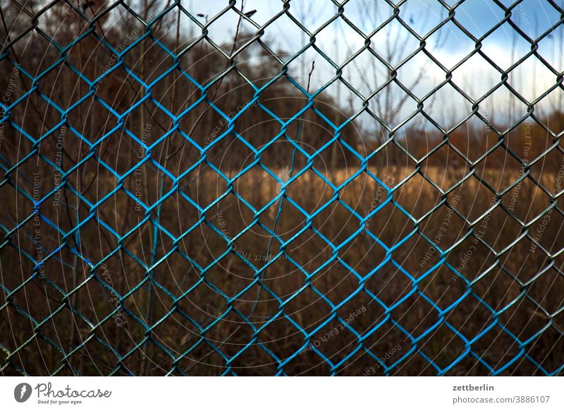 Sprayed wire mesh again variegated Colour colored holidays Garden sprayed Grass Border Autumn allotment Garden allotments Wire netting Wire netting fence