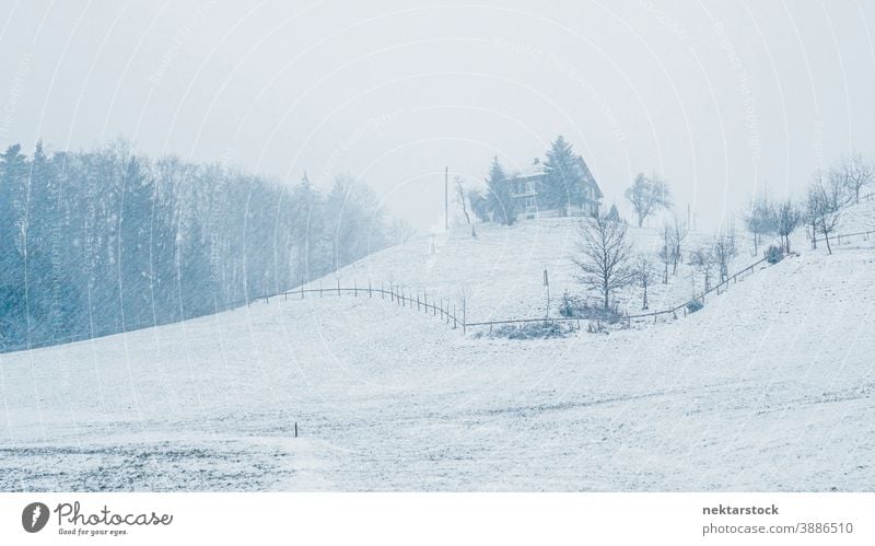 House on Mound in Winter Snowstorm house hill winter snow snowstorm landscape mound cottage tree pine long shot wide shot blizzard outdoor white season weather