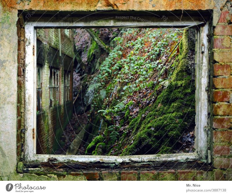 lost places I beautiful view Window outlook Ruin Uninhabited Ventilate Ravages of time Ripe for demolition Window frame View from a window Factory hall