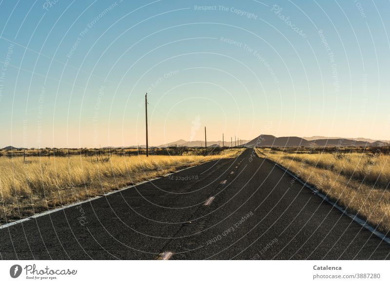 On the way, an empty road to the horizon Nature Landscape Desert bushes Grass Hill Street Power poles Sky Beautiful weather Dry Lonely wide Freedom Brown Blue