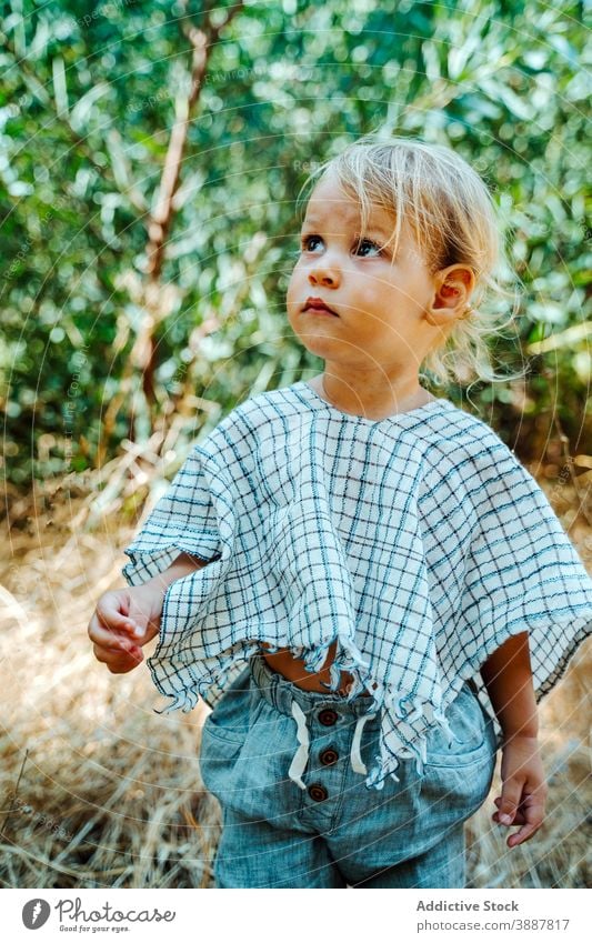 Cute kid standing in park cute child entertain summer toddler appearance relax nature natural beautician green garden little adorable innocent childhood harmony