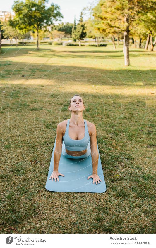 Woman doing Cobra yoga pose in park woman cobra spine bhujangasana backbend practice female wellness lifestyle harmony wellbeing zen health care focus grace