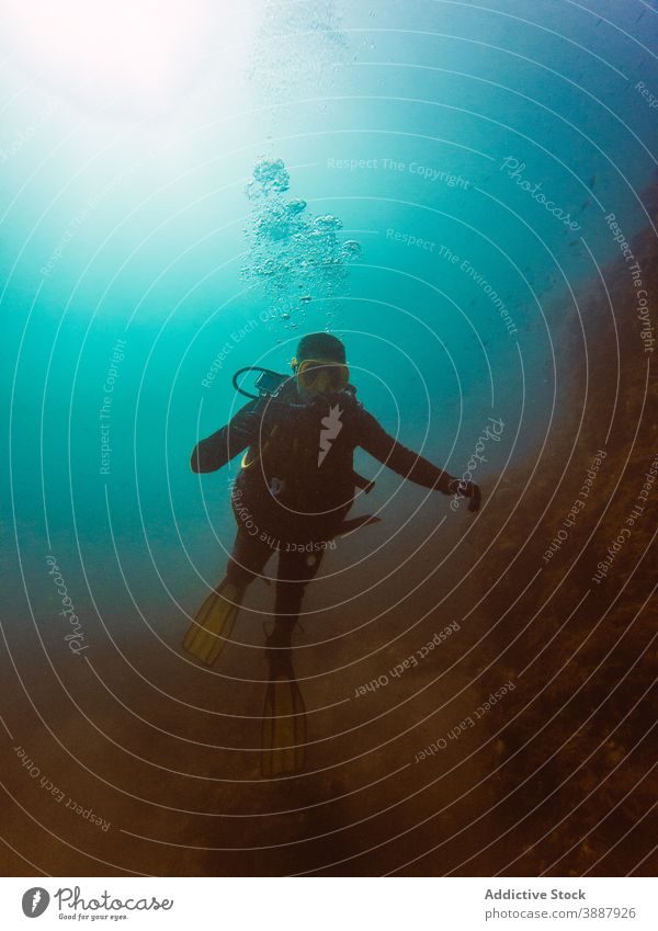 Diver swimming in deep ocean among aquatic vegetation underwater fish nature sea colorful background blue environment tropical adventure scuba dive vacation