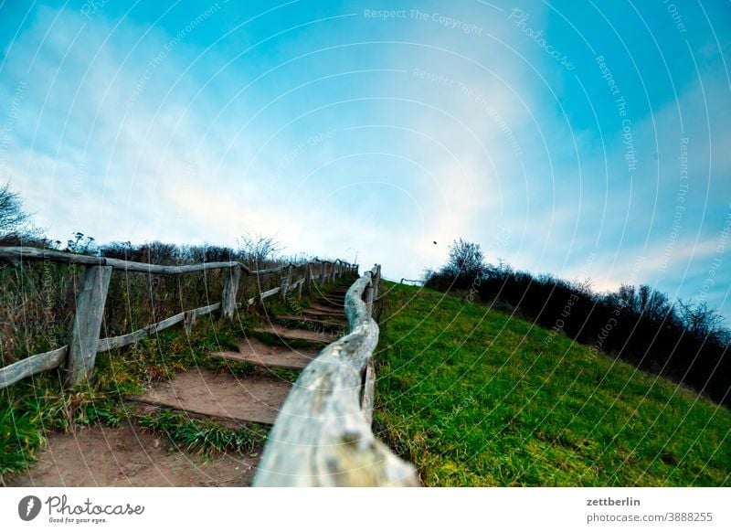 Hiking trail on a hill Relaxation holidays Grass Autumn Sky Deserted Nature November Plant Lawn tranquillity trunk shrub Copy Space Depth of field Meadow Winter