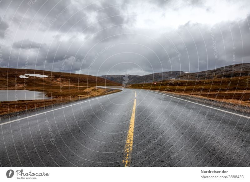 Lonely country road in the Finnmark of Norway Street Loneliness mysticism Curve Transport fjell mountain High mountain region Varanger Asphalt Grass treeless