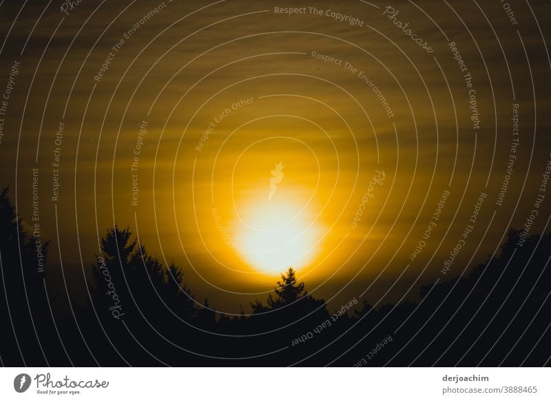 A new day begins . Sunrise from its most beautiful side. Just above the treetops. Sunrise - Dawn Fog Exterior shot Landscape Morning Nature Tree Autumn