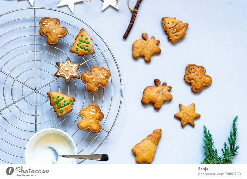 Gingerbread biscuits decorated with icing on a grid Cookie Icing Metal grid baked Christmas & Advent Self-made Decoration Public Holiday Baking Tradition cute