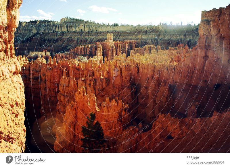 The bryce is hot. Landscape Elements Canyon Bryce Canyon Bryce Canyon National Park Bryce Amphitheater Vacation & Travel Americas USA Utah Hoodoos