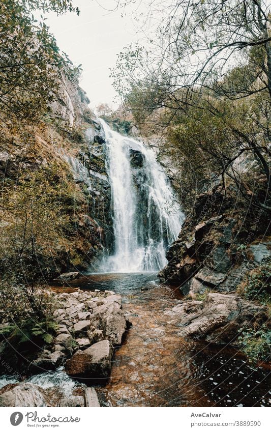 Colorful shot of a massive waterfall in the forest nature tree western serene scenery natural peaceful foliage landscape cascade national mountain park