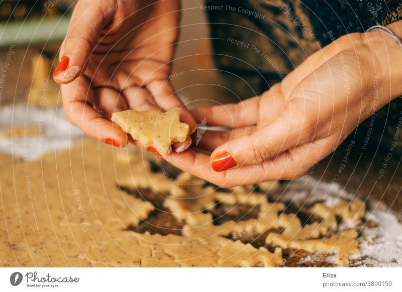 Christmas and Advent - A woman bakes Christmas cookies in the shape of a Christmas tree Christmas baking Cookie Baking fir trees bake cookies Christmas biscuit