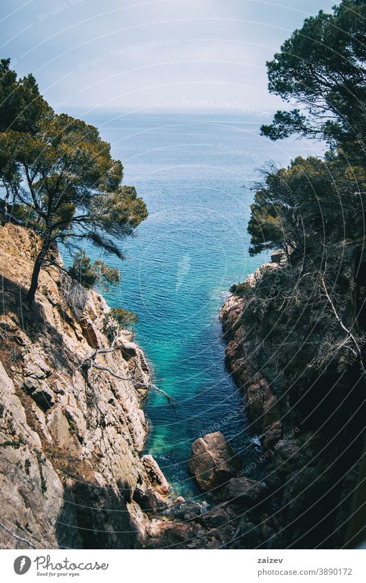 small cove with crystal clear water on the costa brava, catalonia, spain calella de palafrugell llafranc tamariu without people outdoor copy space color wide