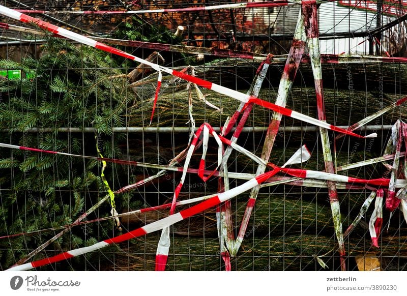 Christmas tree sales christmas tree sales booth Advent advent season christmas time Preparation Tradition Poster pre-Christmas period Markets Fence Street Town