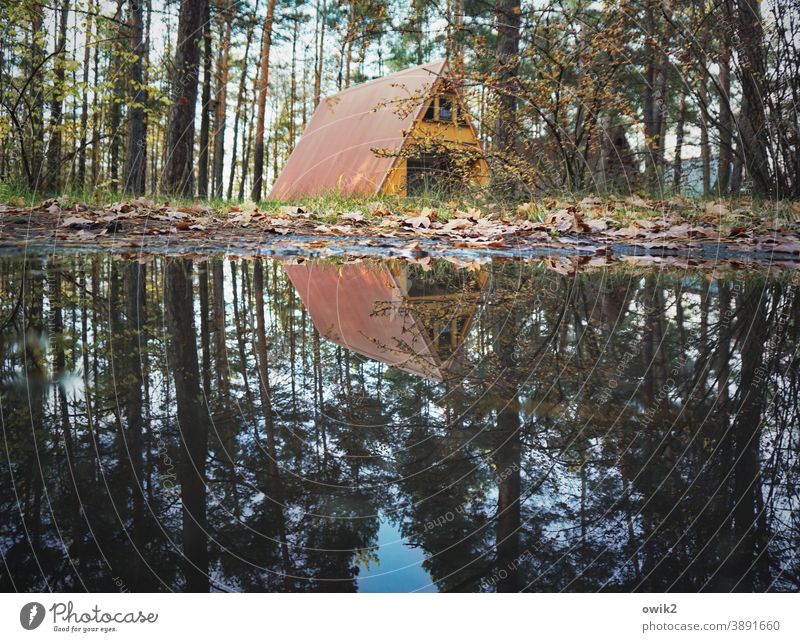 water property Holiday Village Exterior shot bungalow Relaxation Nature Simple Pitch of the roof Colour photo Tree Landscape Forest holiday cottage