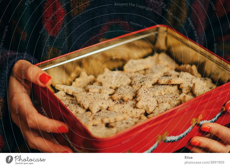 A woman holds a tin of homemade Christmas cookies in her hands Cookie Cookie jar Cookie tin fir trees biscuits Delicious Christmas & Advent Baked goods