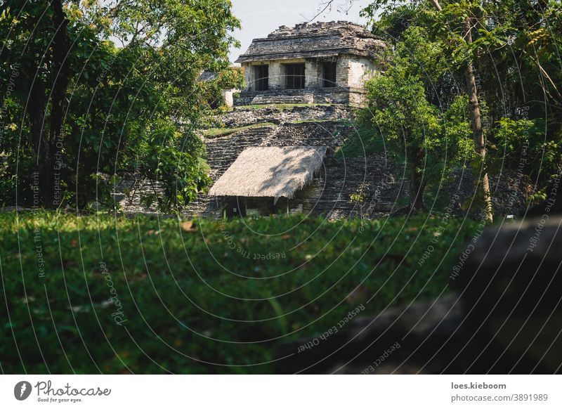 Small pyramid Mayan ruin temple at the archaeological Unesco site of Palenque, Chiapas, Mexico palenque maya ancient mayan tourism travel mexico stone chiapas