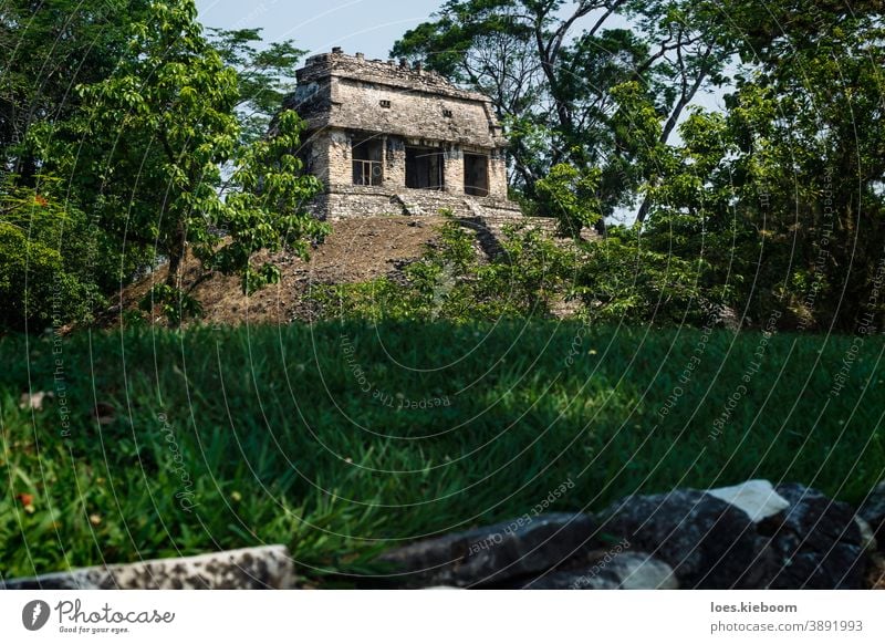 Small pyramid Mayan ruin temple at the archaeological site of Palenque, Chiapas, Mexico palenque maya ancient mayan tourism travel mexico stone chiapas mexican