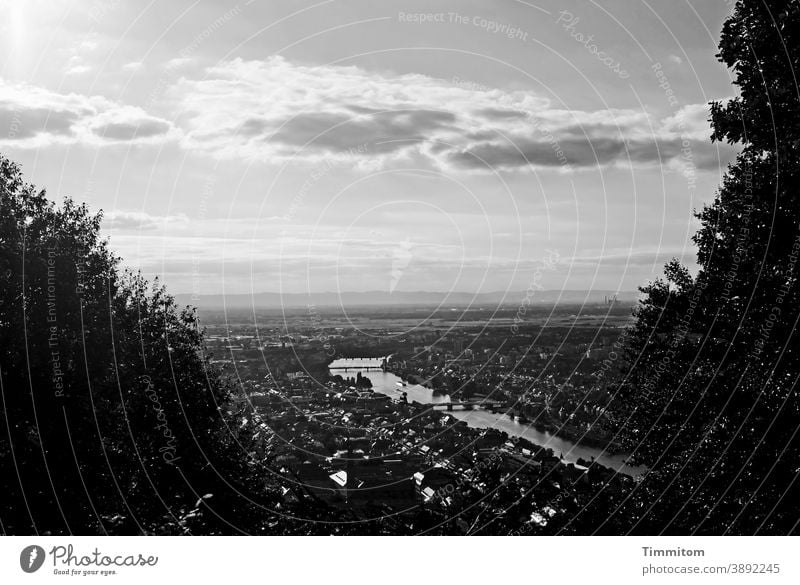 Photo postcard of Heidelberg - black and white Town Vantage point cityscape Neckar Building River Sky Clouds roofs Glittering trees Deserted